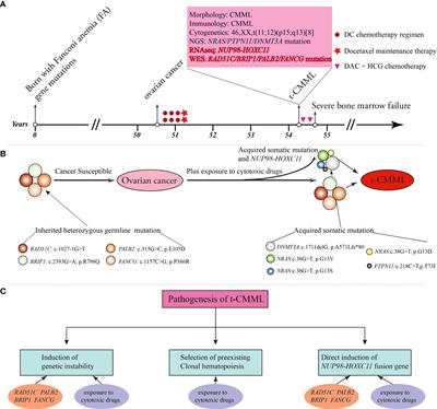 Inherited heterozygous Fanconi anemia gene mutations in a therapy-related CMML patient with a rare NUP98-HOXC11 fusion: A case report